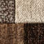 Bahnu area rug Machine Woven Rectangle Beige/Grey