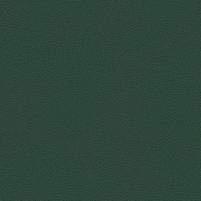 Rigel Fabric