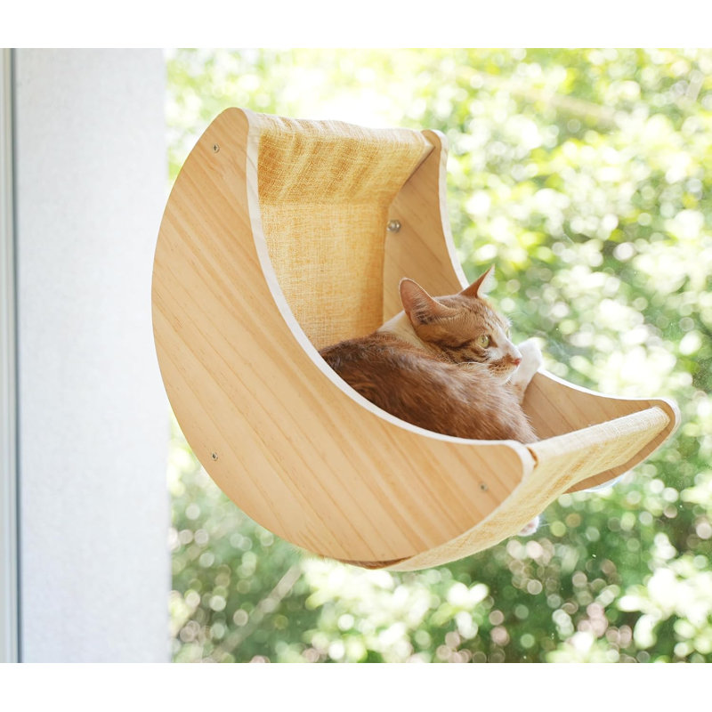 Fenêtre pour chat avec perchoirs lunaires, montés avec de solides ventouses