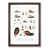Walnut Framed
