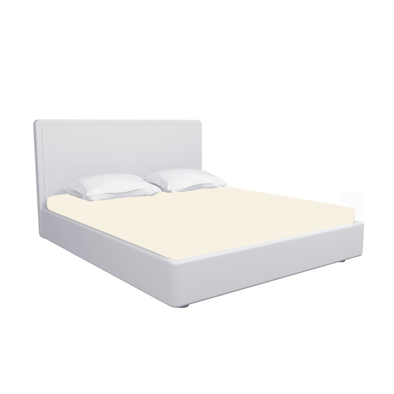 Percale Fitted Sheet, Double (4'6)