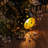 Lantern String Lights With 10 Clear G40 Bulbs And Star Plastic Lamp Shades, Indoor Outdoor String Lights,(Star Lantern/11FT)