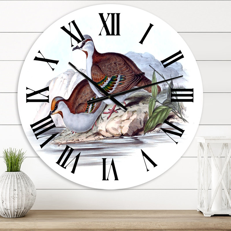 Vintage Australian Birds IX - Traditional wall clock, Small