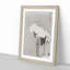 Two Cranes by Ito Jakuchu - Framed Print-55614614-55614617