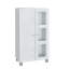 Deamonte Display Cabinet-215054782