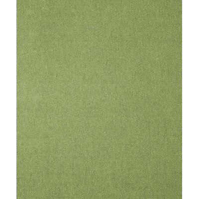 Genesis Fabric