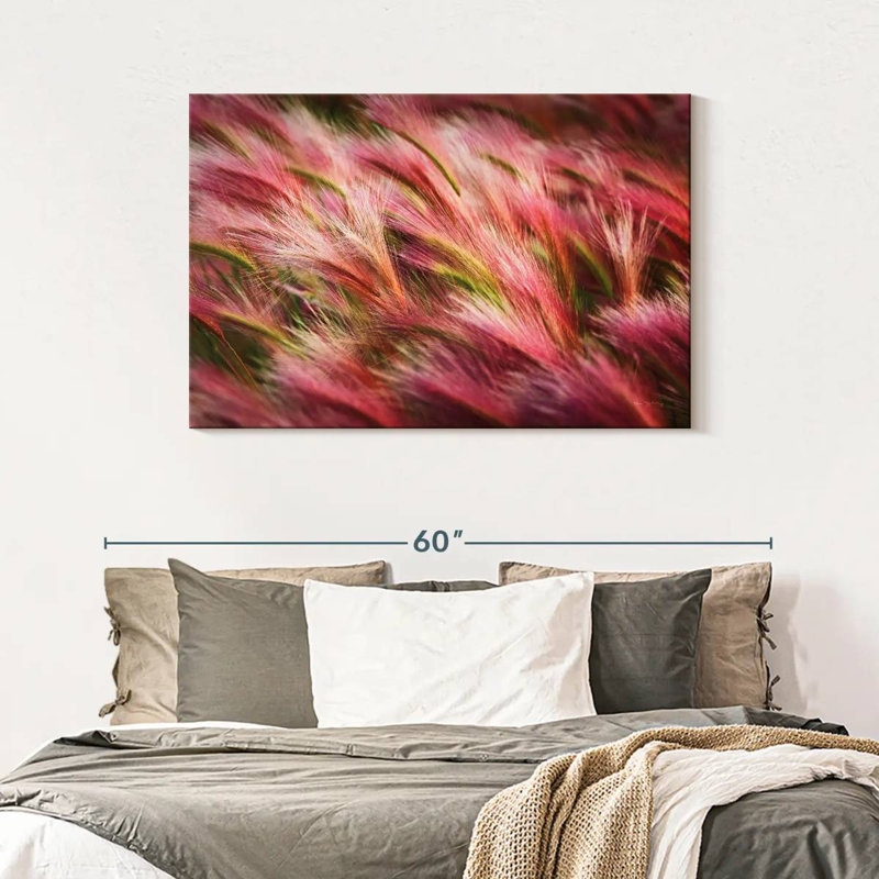 Foxtail Barley, 30" H x 45" W