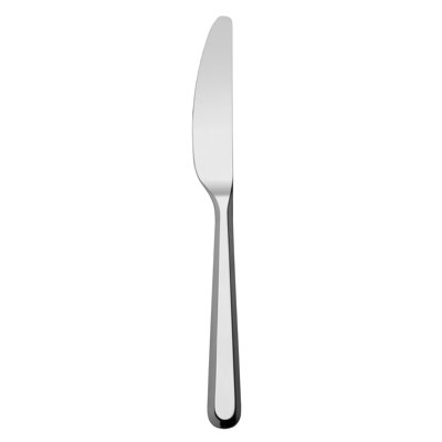 Amici Stainless Steel Dinner Knife