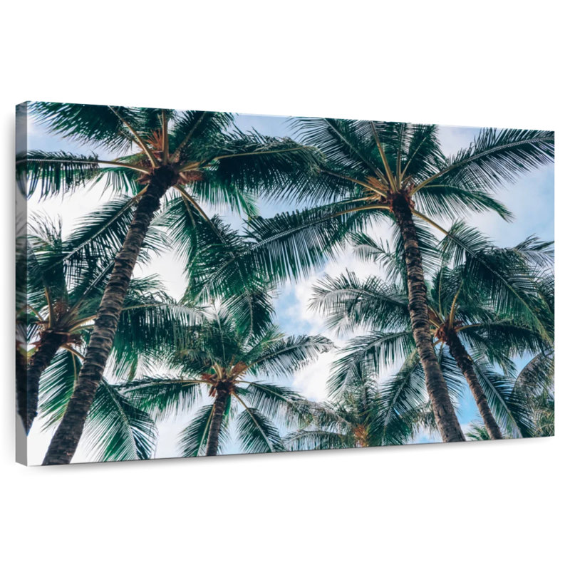 Harnek Palm Trees In Honolulu