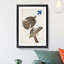 Stanley Hawks by John James Audubon - Framed Print-55615665-55615667