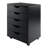 Barakha Accent Chest With 5 Drawers in Black Finish, 25.8'' H X 18.8'' W X 15.6'' D-1009569838