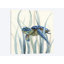 Turtle In Seagrass II by Nan - Wrapped Canvas Print-34181796