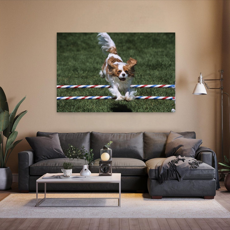 2000S Cavalier King Charles Spaniel Dog Agility Jumping Classic Retro Vintage Dog Wall Art, H 40 po x l 60 po