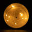 LED Indoor / Outdoor Single Christmas Light-403472213