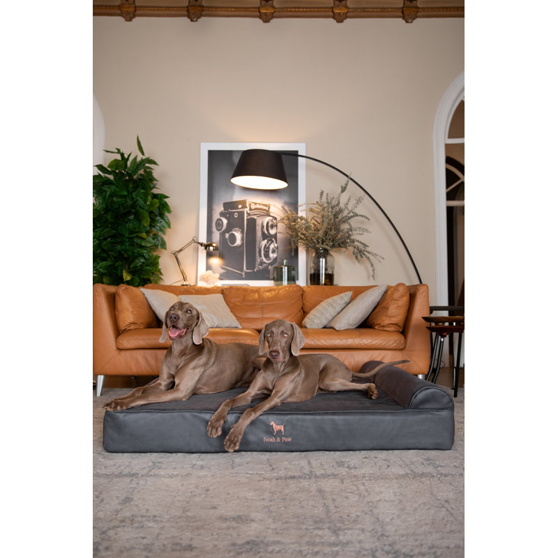  Lit orthopédique pour chien géant XXL, mousse viscoélastique infusée de gel rafraîchissant, imperméable, lavable à la machine, avec housse intérieure (similicuir)