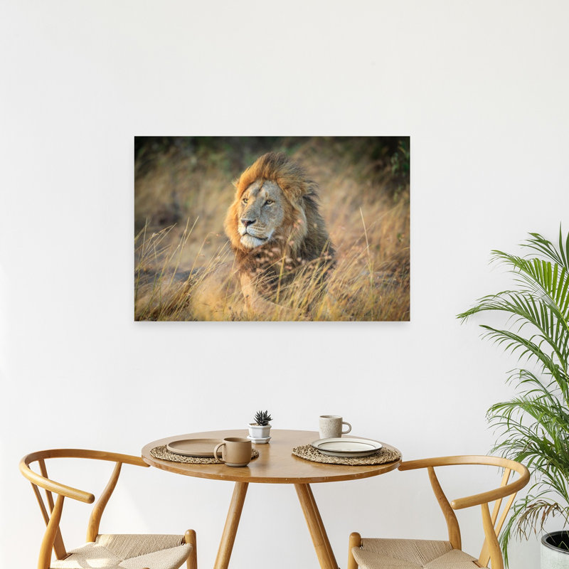 Majestic African Lion Abstract Contemporary Cat Lion Nature Wildlife Wall Art Print, 60.96cm H x 91.44cm W