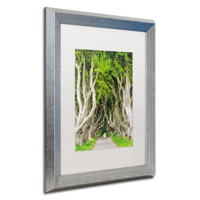 " The Dark Hedges " by Philippe Sainte-Laudy