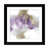 Framed Print is unavailable