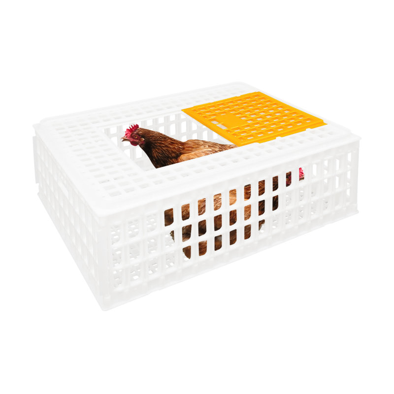 Cage de transport en plastique en plastique, Blanc