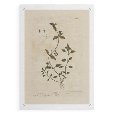 Imprimé floral rétro CLxxv - impression sur toile seulement - non encadré