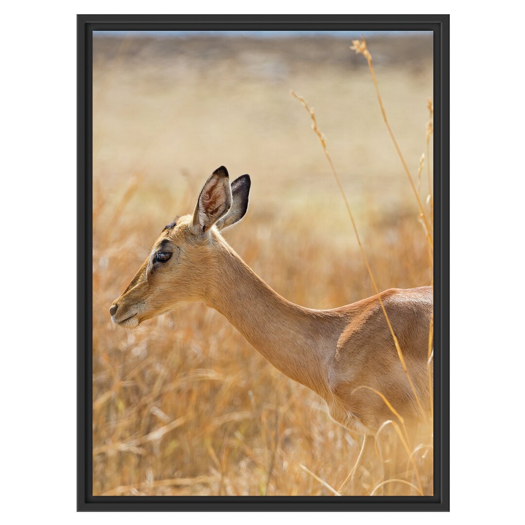 Gerahmtes Wandbild Gazellehohen Gras