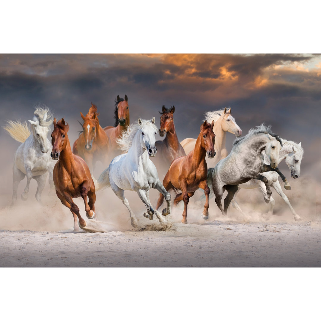 Horse Herd Run by Callipso - Wrapped Canvas Print