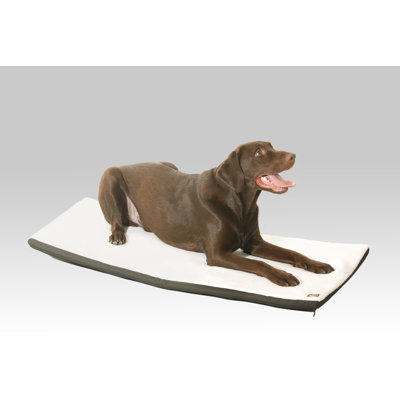 Phan Orthopedic Polyester Pet Bed