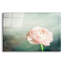 «Peony 03» par Lightbox Journal-1263475929