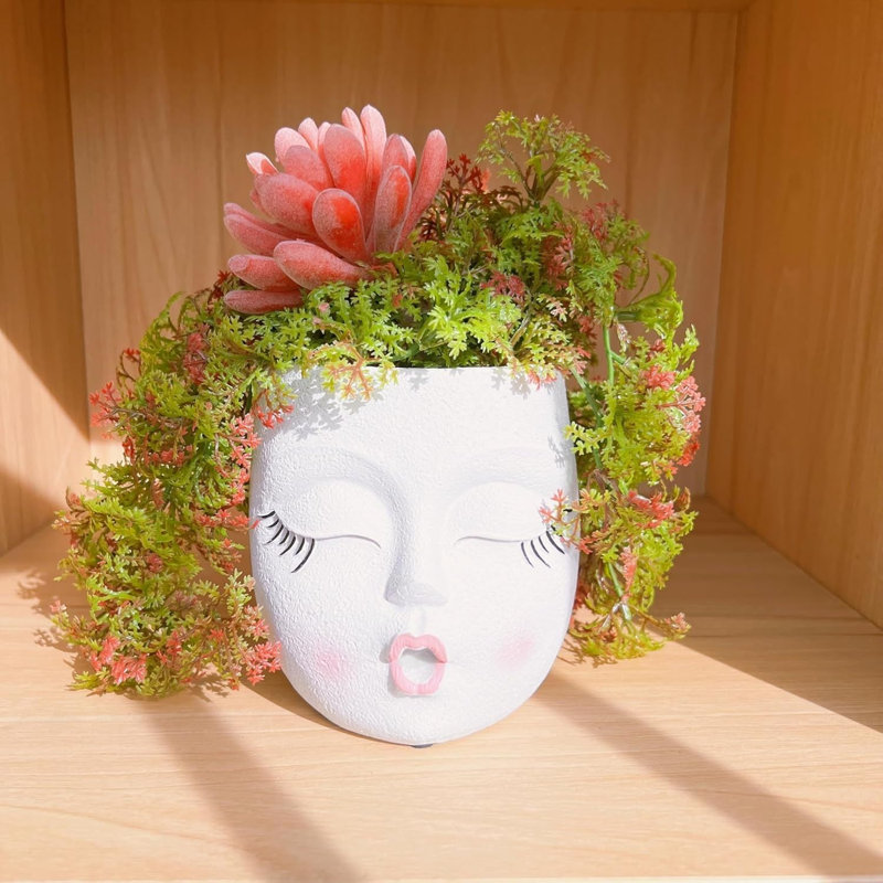 Pot à plante en résine avec drainage Rocker Face