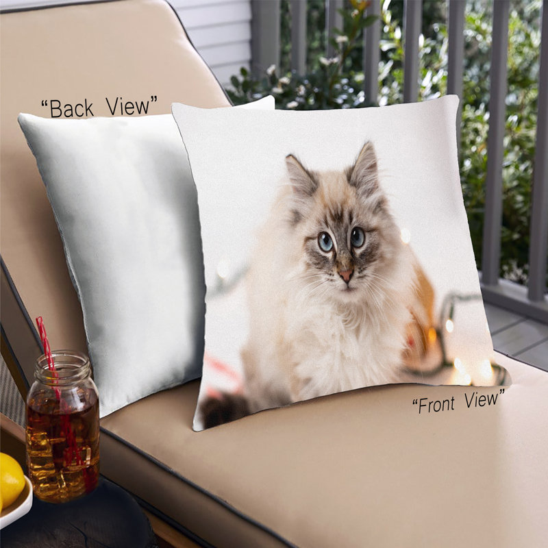 Coussin 14 chats, Synthétique