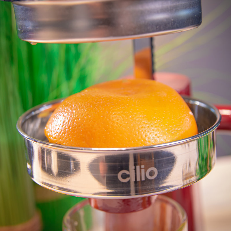 Compact Red Stainless Steel Lever Action Citrus Juicer