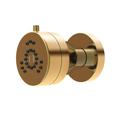 Parma Multi Function Adjustable Shower Head
