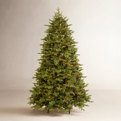 Princeton 7.5' Pre-Lit Fir Tree