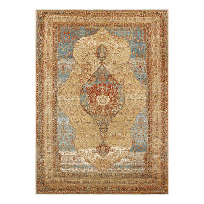 Indoor/Outdoor Traditional Area Rug