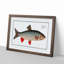 Idus-Carp Fish by M.E. Bloch - Framed Print-55768959-55768960