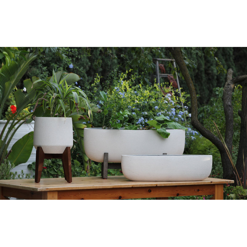 Jardinière ronde vénitienne avec support en bois d'acacia, grande taille, légère, en fibre de verre, lot de 2 - Intérieur/Extérieur