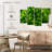 Harnek Lime Heart I-108890108