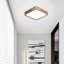 LED Flush Mount