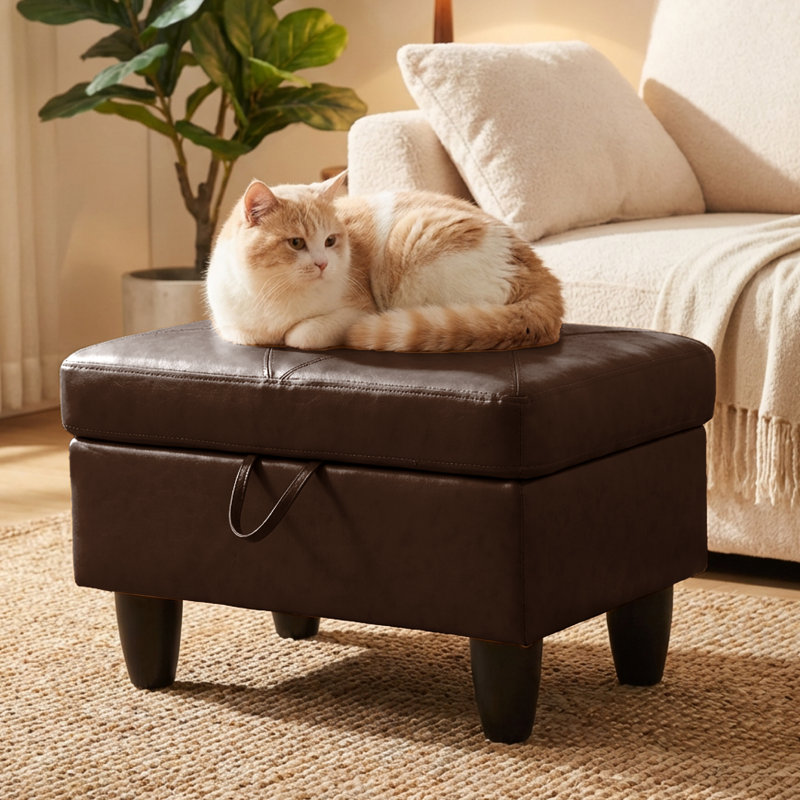 Repose-pieds rectangulaire avec rangement, repose-pieds en similicuir avec couvercle à charnière, tabouret de table basse pour le salon, la chambre à coucher, le vestibule, brun