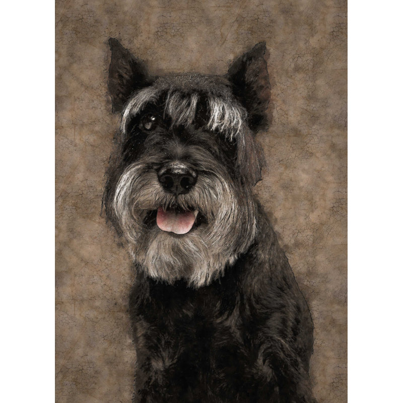 Schnauzer Vintage Paper - No Frame Print, Gallery Metal, 39.4cm H x 29.5cm W