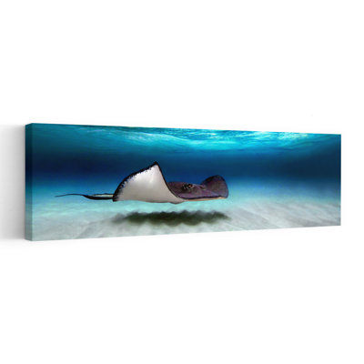 Southern Stingray North Sound Grand Cayman Cayman Islands by Todd Gustafson - Wrapped Canvas Panoramic Print