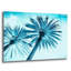 Art mural en verre acrylique Bay Bay Home ™ «CArtic Palms» par Tai Prints-1329969588