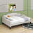 Full Size Upholstered Tufted Daybed