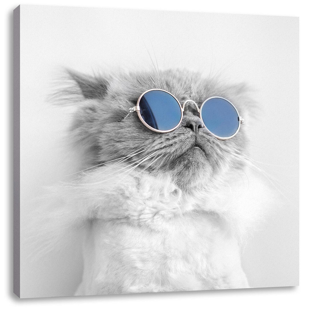 Coole Katze Mit Runder Sonnenbrille B&W Detail Als Leinwandbild Quadratisch