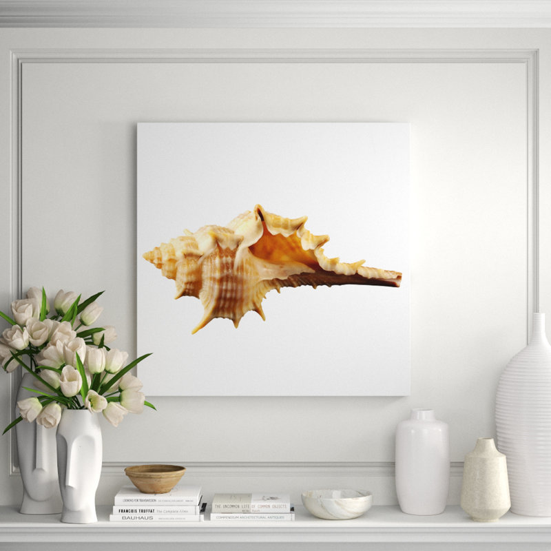 Sea Shell Horn Print, 36" H x 36" W x 2.5" D, Aluminum