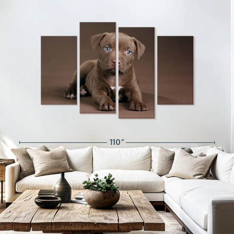 Chiot Brampt Pit Bull