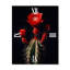 Horloge murale Cactus-331667175