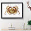 Atlantic Crab by Albert I - Picture Frame Painting Print on Paper-55456882-55456883