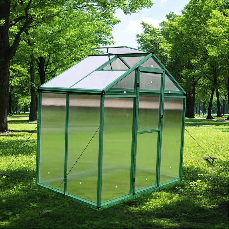 Serre en polycarbonate 6X4 Ft Wind Wind