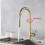 Belfry Kitchen Pull Out Kitchen Faucet